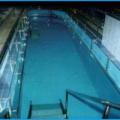 Частный бассейн скиммерного типа, подмосковье. Размер - 10 х 3 м.